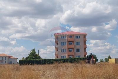 Teren de vis pe malul marii, Goflful Francezului, Costinesti - 2