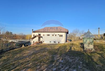 Spațiu comercial, de 424 mp, în Udești - 47