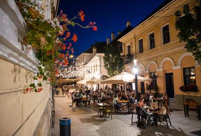 Spatiu comercial - alimentatie publica - de vanzare  - Piata Muzeului - 2