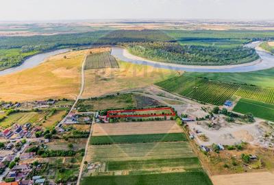 Teren de 4000 mp, în Zădăreni