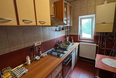 Apartament cu 2 camere semidecomandat, mobilat în Tineretului - 12