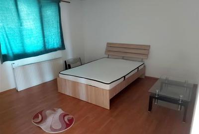Casa cu 2 etaje si hala mare in Ineu de Cris - 14