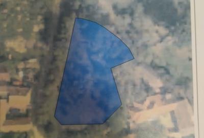 Teren de 3066 mp, în Pianu - 5