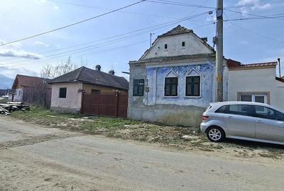Casă cu 4 camere cu Teren 3000 Mp în Central - 10