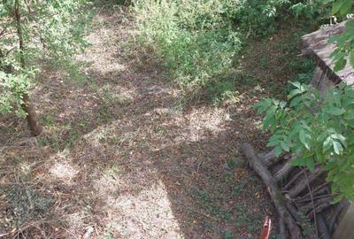 Casa spa?ioasa cu 5 camere, gradina ?i garaj - Ideala pentru familie! - 8