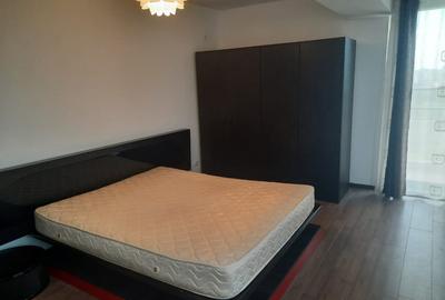Apartament cu 3 camere semidecomandat în Tineretului - 10