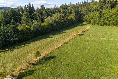 Spațiu comercial, în Vulcan - 8