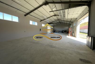 Hala de inchiriat Bacau Buhoci access tir birouri - 19