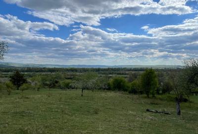 Teren agricol extravilan de 6864 mp, în Groși - 2