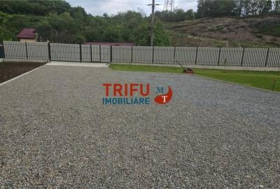 Casă cu 1 camere cu Teren 1335 Mp în Ighiu - 8