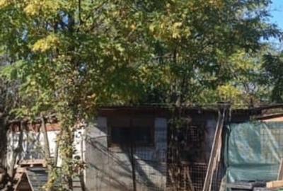 Casa de vânzare Grindu Ialomița - 4