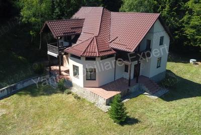 Casă cu 5 camere cu Teren 6842 Mp în Brădetu - 4