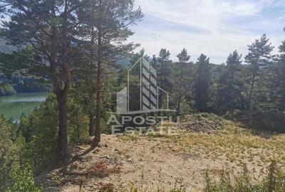 Teren de 2000 mp, în Văliug - 5