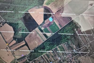 Clinceni-Ordoreanu intre padurea Teghes si Ordoreanu - 1