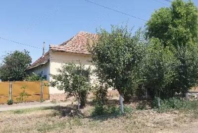 Casa si teren-loc. Saravale, jud. Timis - 3
