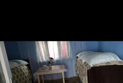 Casă cu 5 camere cu Teren 3313 Mp în Hodiș - 1