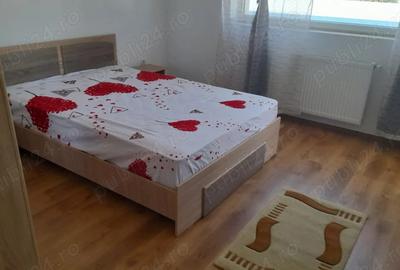 Garsonieră decomandată în Turnișor - 10