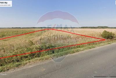 Teren Construcții intravilan de 7000 mp, în Stoenești (Florești-Stoenești) - 7