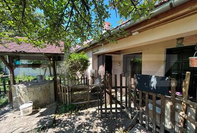 Casa saseasca Harman, ideala pentru o familie mare sau inves - 6