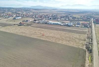 Teren de 14200 mp, în Bod