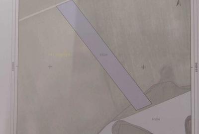 Spațiu comercial, în Dumești - 2