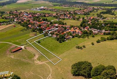 FILM!Doua case traditionale,pe domeniu cu peste 5.000mp tere - 8