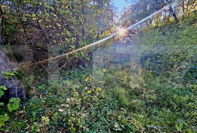 Teren de 725 mp, în Feleacu - 2