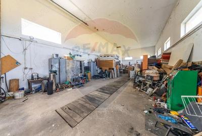 Spa?iu industrial cu potential de vanzare in Paulis,Arad - 3