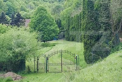 Casa de Vacan?a pe Valea Ighielului 3 camere, 2500 mp curte - 8