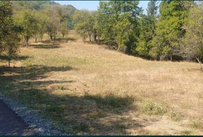 Teren în Fornădia - 5