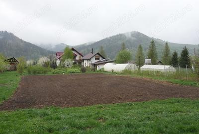 Casă cu 6 camere în Bucșoaia - 3