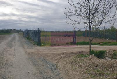 Teren în Măgurele - 4