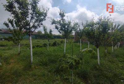 Casa individuala 3 camere, Sacalaz- Cabana cu Semineu - 8