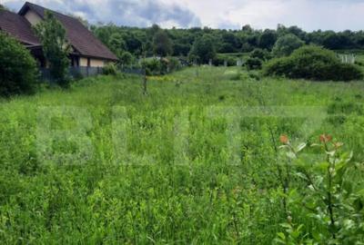 Teren de 1800 mp, în Ciurila