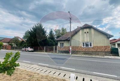 Casă Spațioasă cu teren Generos de 3416 mp în Tăuții Măgherăuș - 7