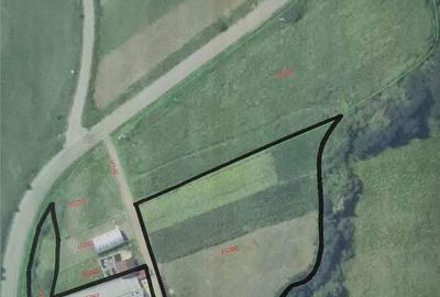 Spațiu comercial, de 1,300 mp, în Șintereag - 13