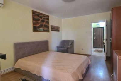 Garsonieră nedecomandată în Ultimul leu - 5