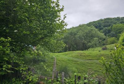 Teren agricol intravilan de 3837 mp, în Central - 1