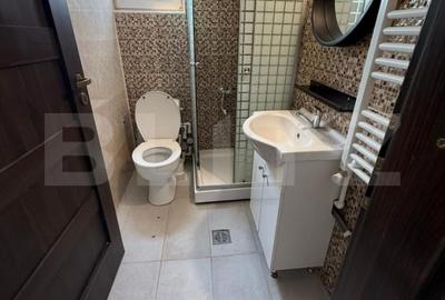 Apartament cu 2 camere, 35 mp, centrala si AC, Calea Severinului - 4