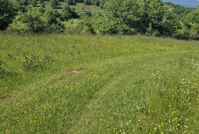 Teren de 10000 mp, în Ghelari - 4