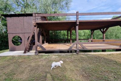 Casă cu 2 camere în Pârteștii de Sus - 1