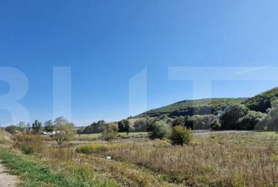 Teren de 1850 mp, în Feleacu - 1