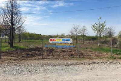 Mogosoaia 854 Mp str. Eugen Barbu - 2