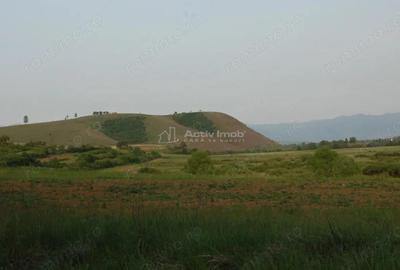 Casa de vanzare in Uileacul de Beius gospodarie traditionala, zona pitoreasca - 12