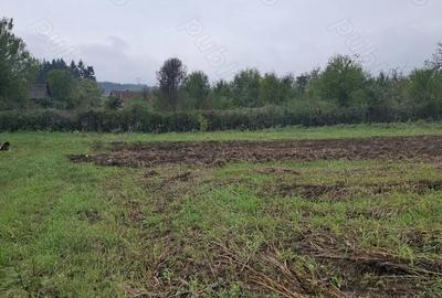 Teren de 1500 mp, în Sălciva - 1