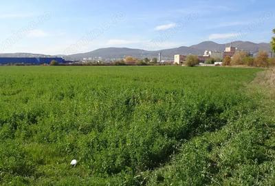 Teren de 43000 mp, în Central - 1