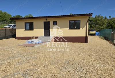 Casă cu 3 camere cu Teren 550 Mp în Teliucu Inferior - 1