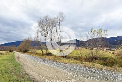 Teren intravilan in Tocile - 4354 m² - 2 fronturi - oferta competitiva - 15