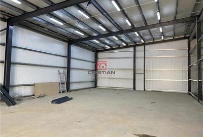 Inchiriere depozit hala spatiu industrial Theodor Pallady - Drumul Intre Tarlale - Oxigenului - 7