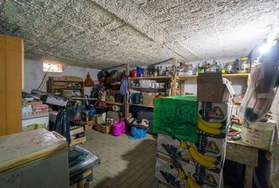 Casa individuala 160 mp, 1.200 mp teren, garaj si spatiu comercial Casa individuala 160 mp, 1.200 mp teren, garaj si spatiu comercial - 21